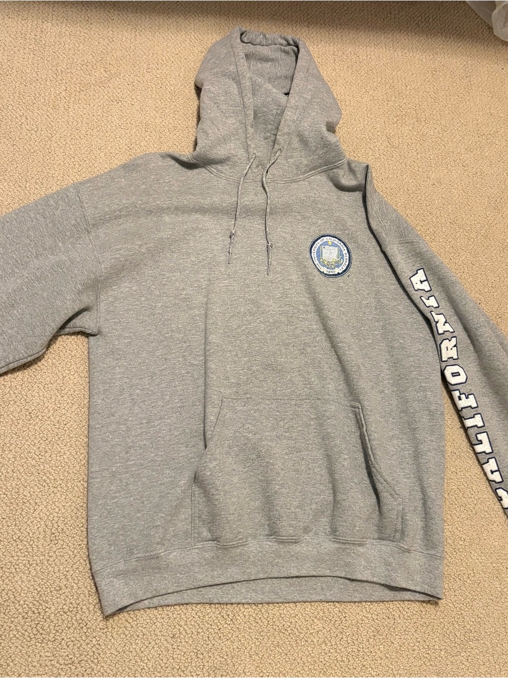 Topshop Hoodie